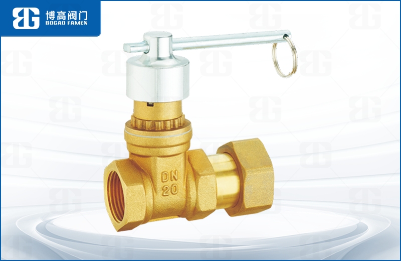 磁性鎖(suo)閉活接止(zhǐ)回閘閥